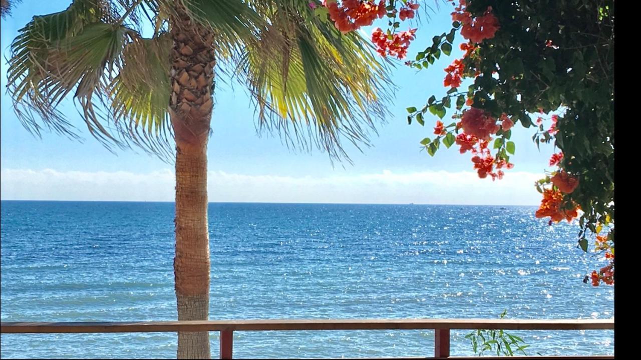 Mi Capricho 4C Beachfront -Apartment With Sea View - Costa Del Sol Sitio de Calahonda Exterior photo